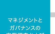 マネジメントとガバナンスの実態調査および新体制設計